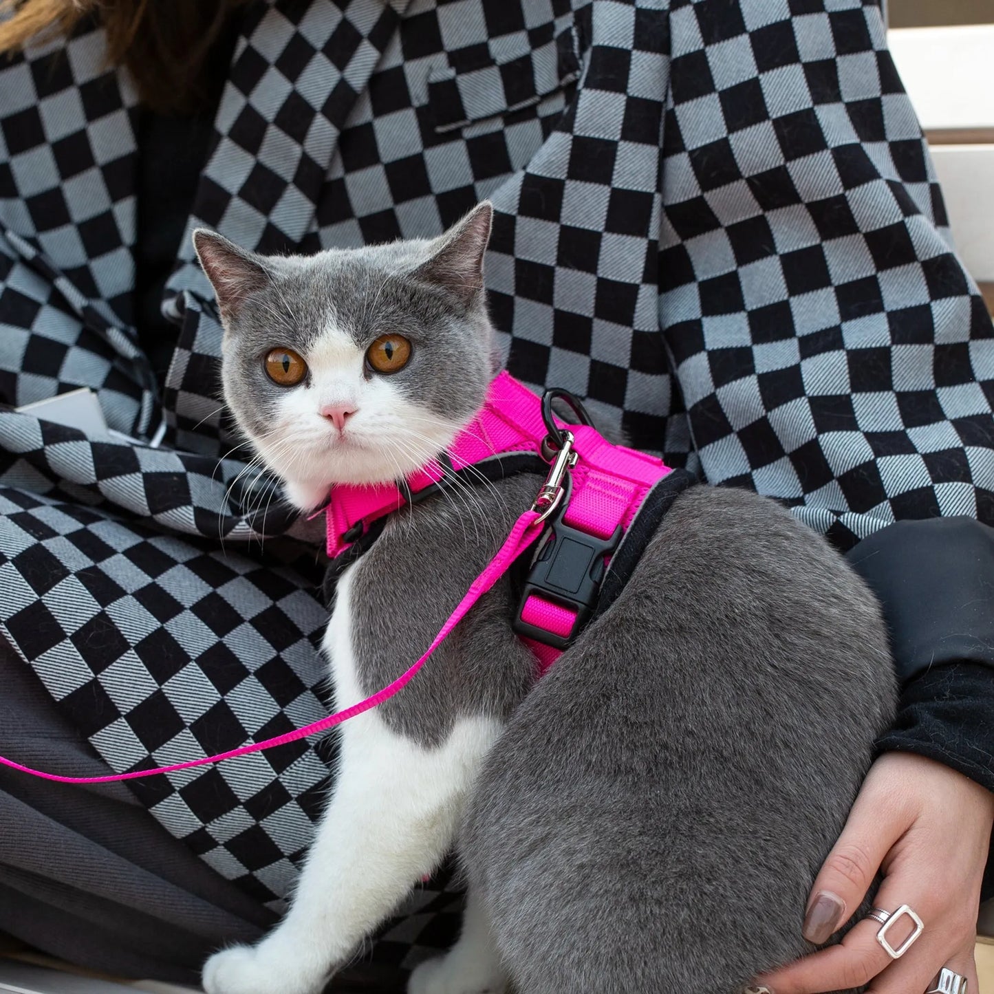 Mr. Peanut's PurrTrek Reflective Cat Harness with Matching Leash