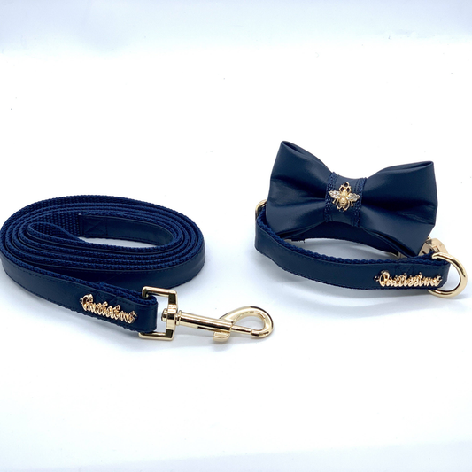 One-Click Neptune Dog Collar, Bow Tie, Leash Set
