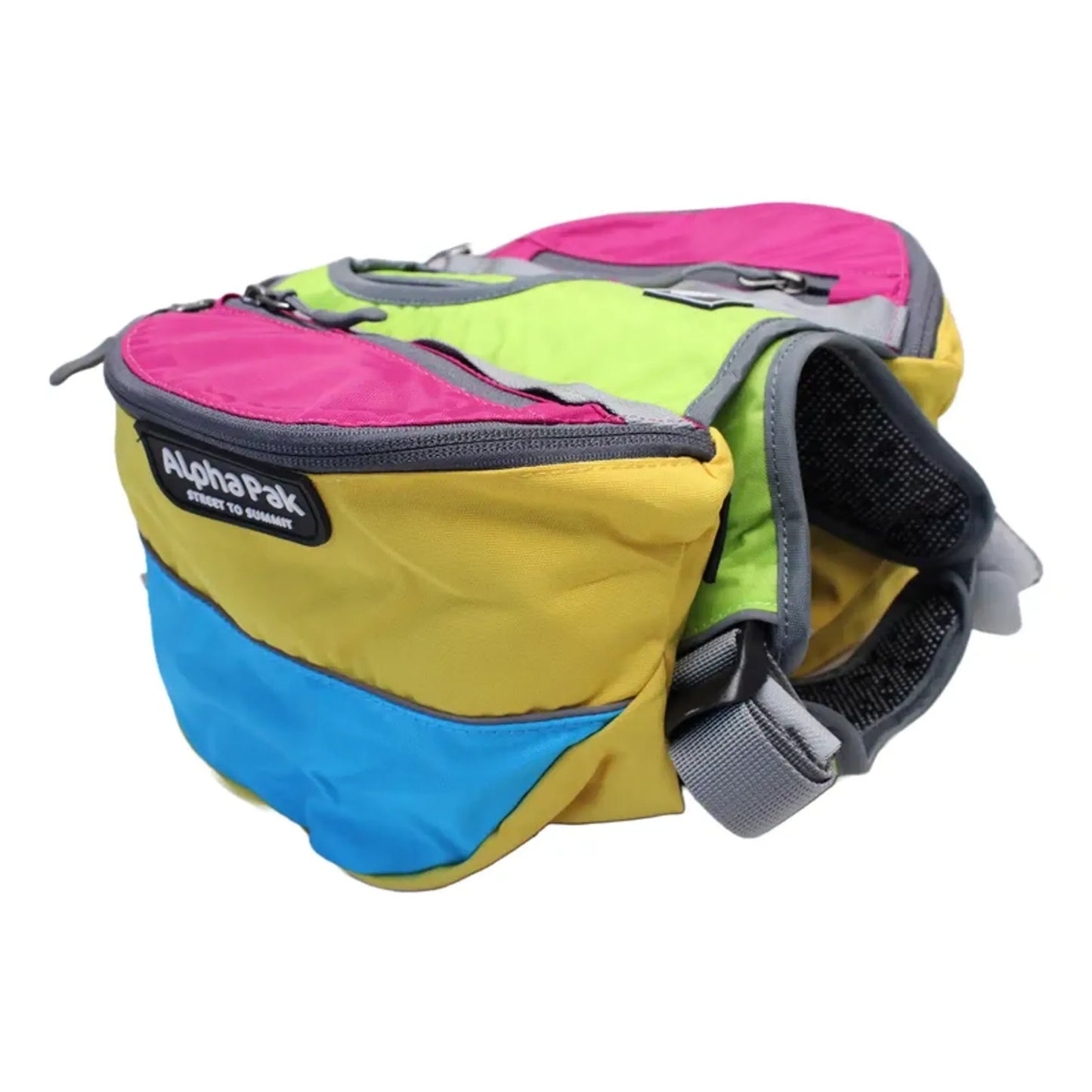 Adventurer 2-piece Dog Pack With EZ Latch  Harness