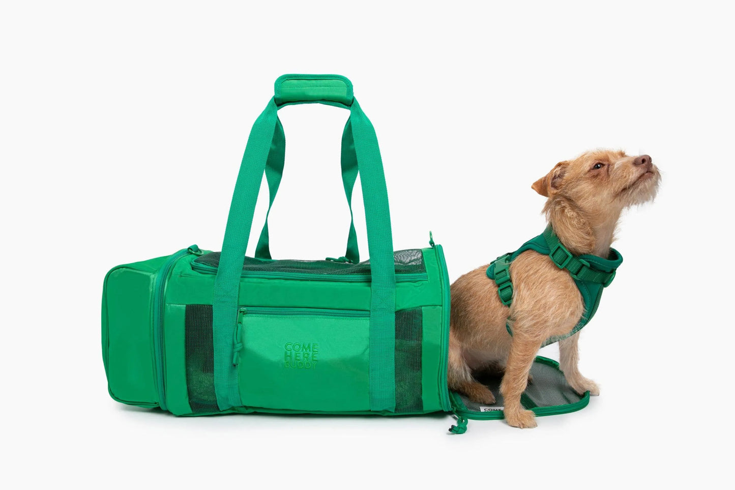 Travel Buddy  - Pet Carrier