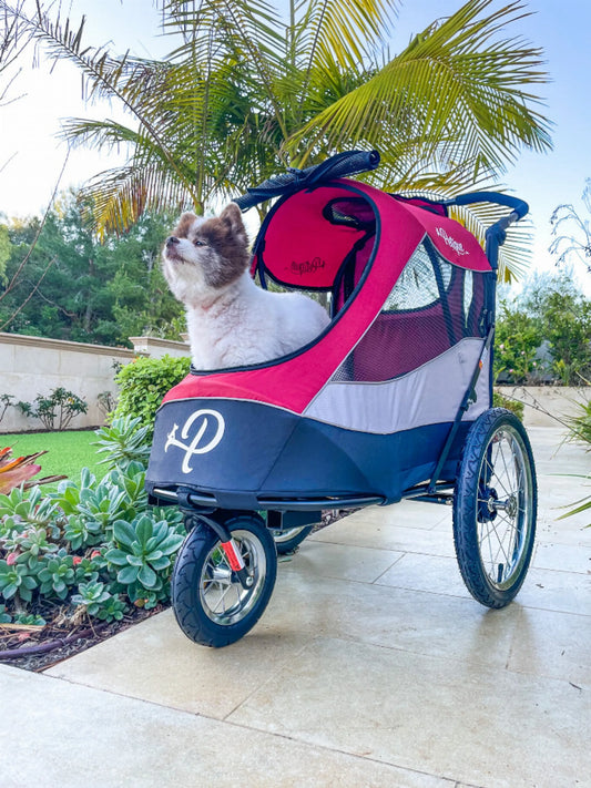 Trailblazer Pet Jogger