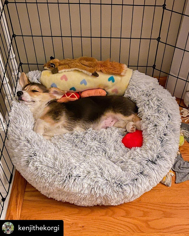 Mr. Peanut's OrthoPlush Pet Bed
